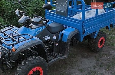 Грузовые мотороллеры, мотоциклы, скутеры, мопеды Forte ATV 2025 в Бурыни Грузовые мотороллеры, мотоциклы, скутеры, мопеды Forte ATV 2025 в Бурыни