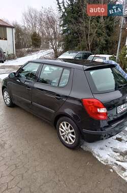 Хэтчбек Skoda Fabia 2010 в Никополе