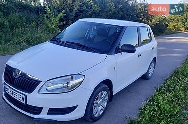 Хетчбек Skoda Fabia 2011 в Борщеві