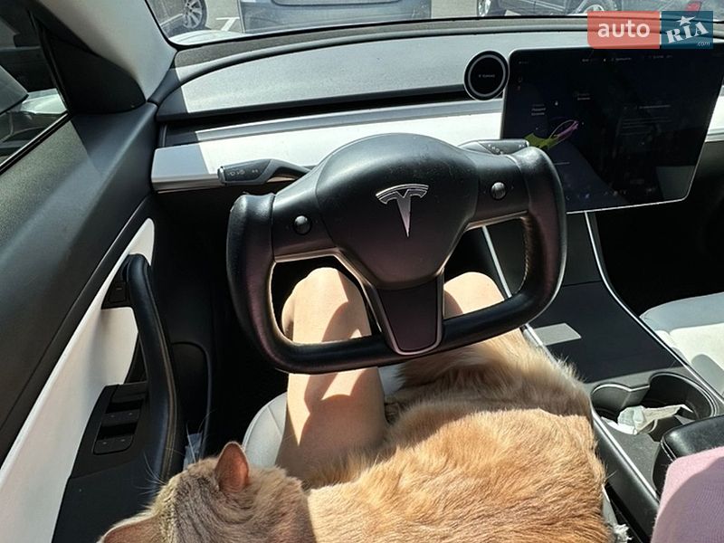 Седан Tesla Model 3 2019 в Луцке