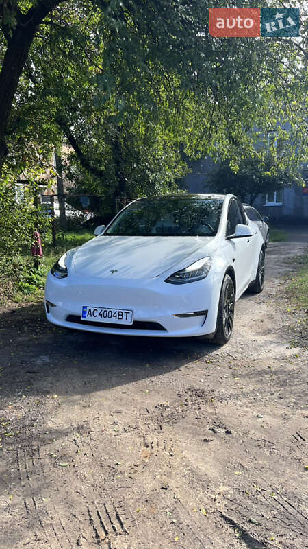 Внедорожник / Кроссовер Tesla Model Y 2020 в Луцке