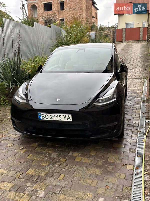 Внедорожник / Кроссовер Tesla Model Y 2020 в Тернополе