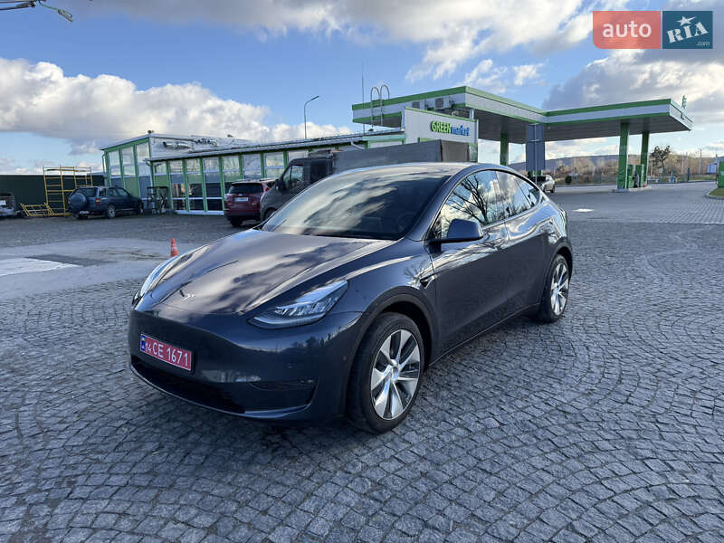 Позашляховик / Кросовер Tesla Model Y 2022 в Золочеві