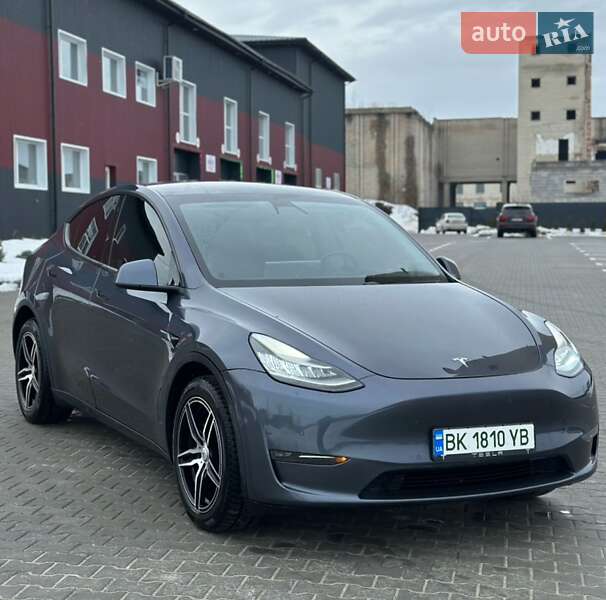 Внедорожник / Кроссовер Tesla Model Y 2020 в Дубно