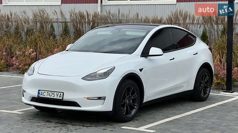 Внедорожник / Кроссовер Tesla Model Y 2021 в Луцке