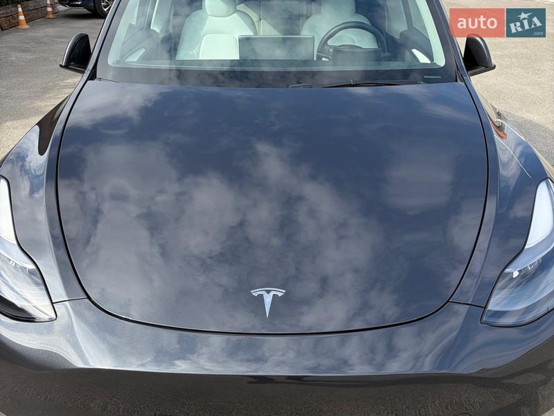 Позашляховик / Кросовер Tesla Model Y 2024 в Києві