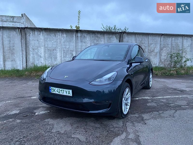 Позашляховик / Кросовер Tesla Model Y 2024 в Сарнах