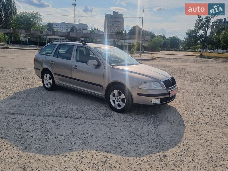 Универсал Skoda Octavia 2008 в Нетешине