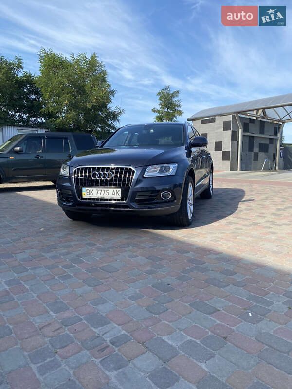 Внедорожник / Кроссовер Audi Q5 2016 в Сарнах