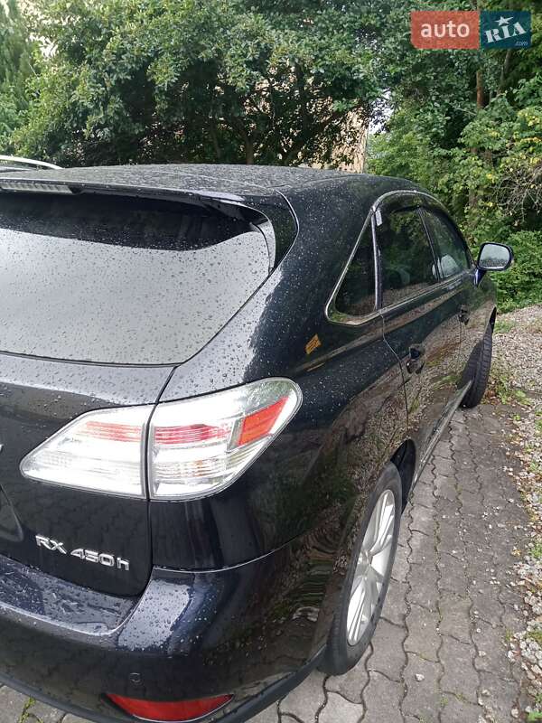 Внедорожник / Кроссовер Lexus RX 2009 в Николаеве Внедорожник / Кроссовер Lexus RX 2009 в Николаеве