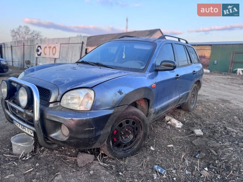 Позашляховик / Кросовер Hyundai Santa FE 2002 в Києві