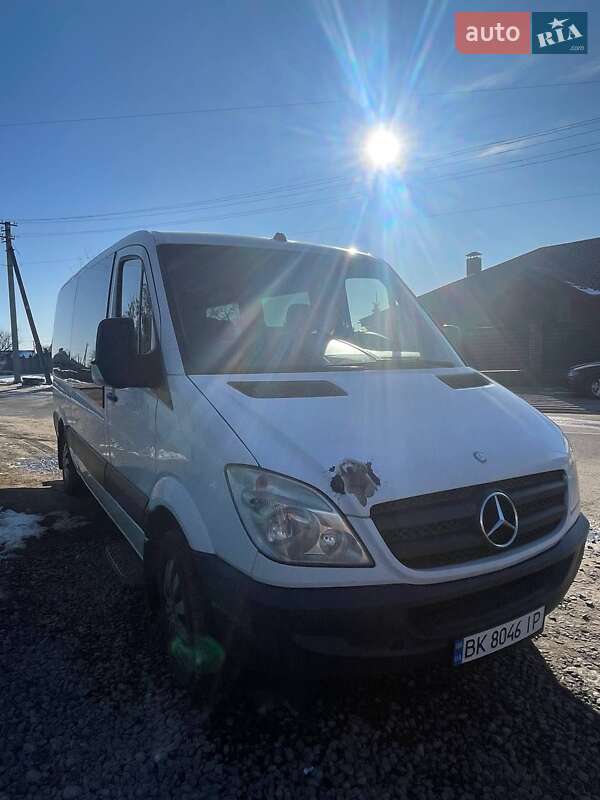 Микроавтобус Mercedes-Benz Sprinter 2007 в Сарнах