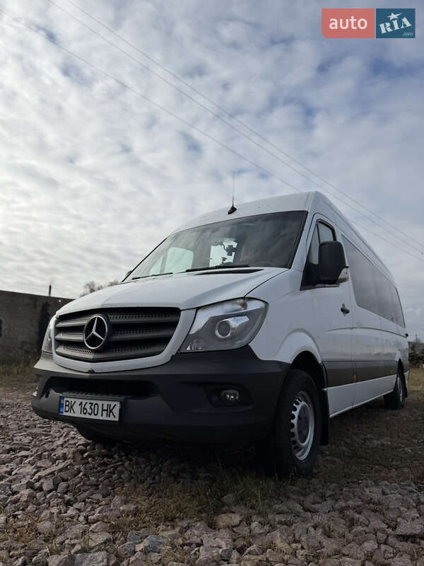Микроавтобус Mercedes-Benz Sprinter 2017 в Березному