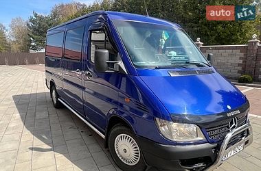 Мікровен Mercedes-Benz Sprinter 2004 в Солотвині