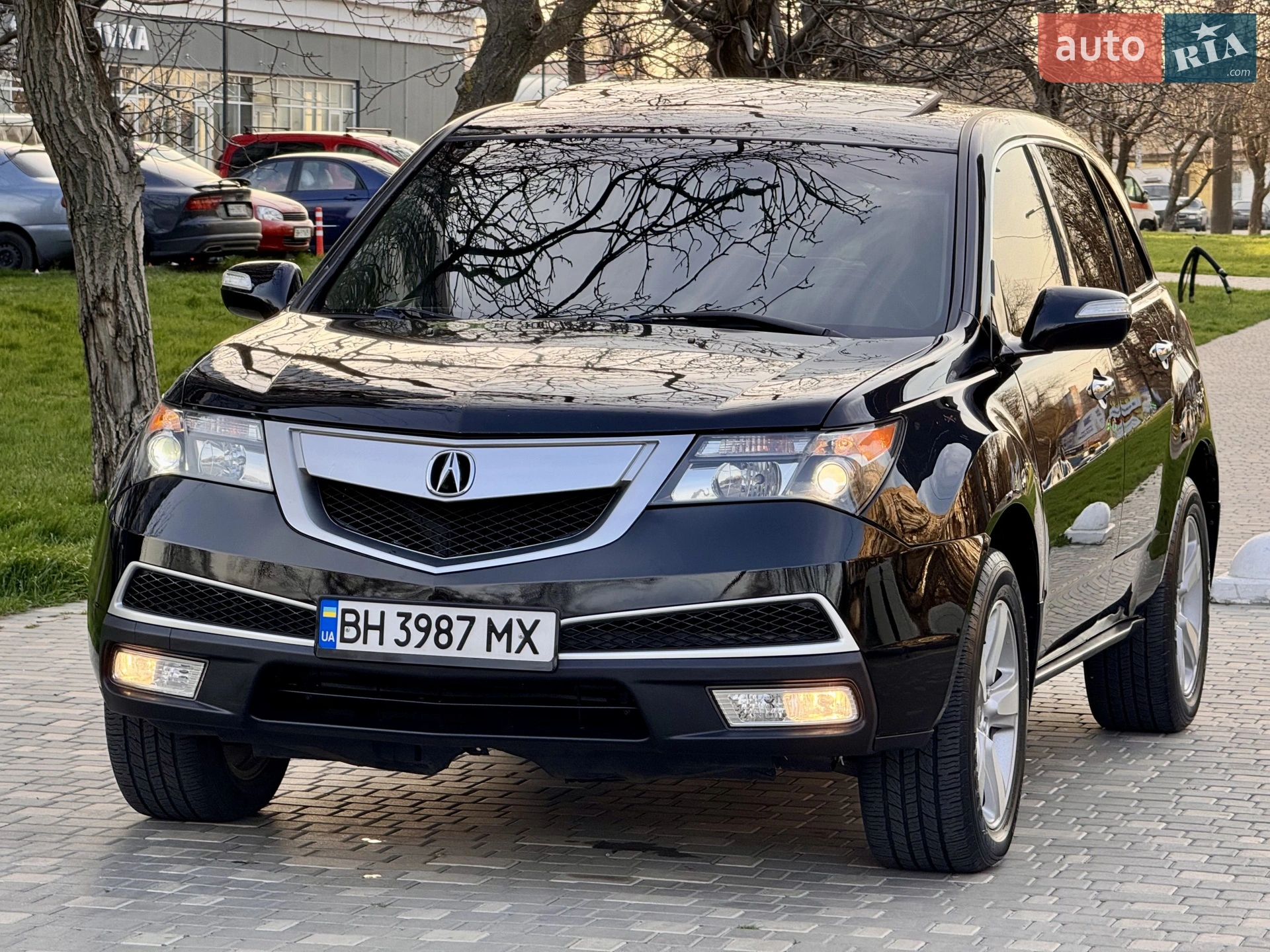 2010 Acura MDX - мініатюра 6