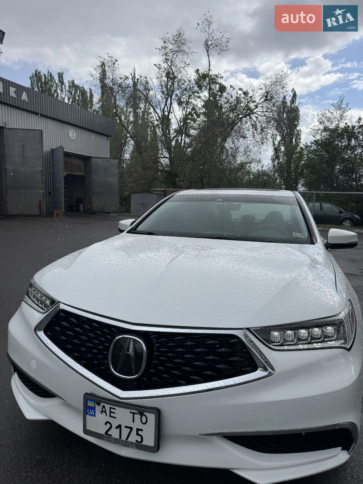 2019 Acura TLX - фото 1