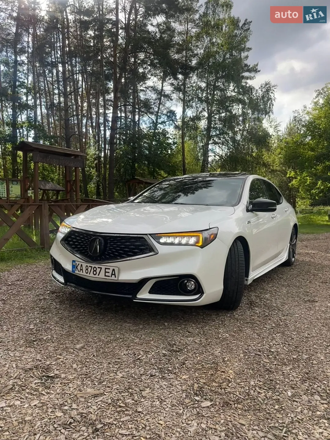 2017 Acura TLX - мініатюра 11