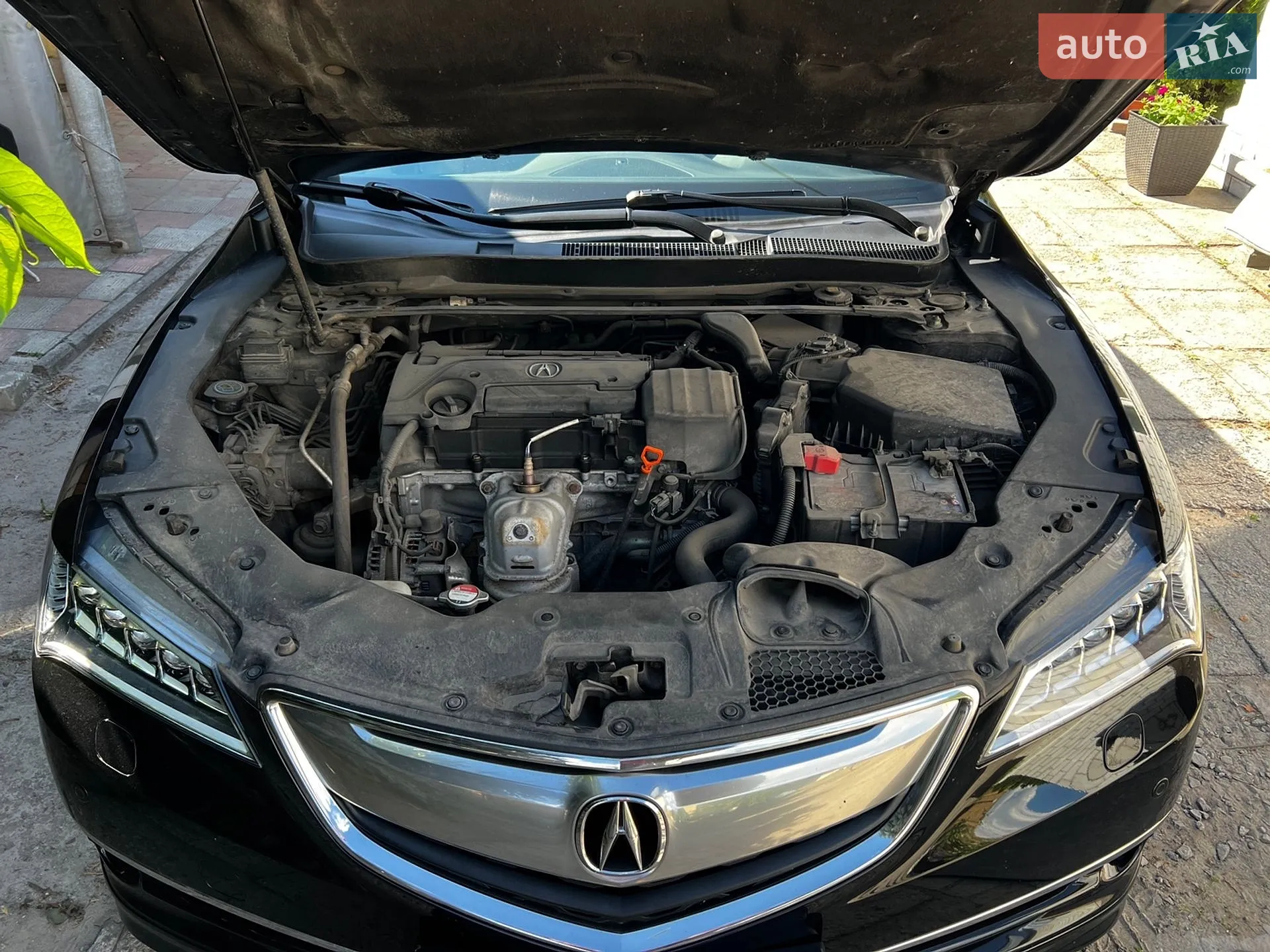 2014 Acura TLX - мініатюра 20