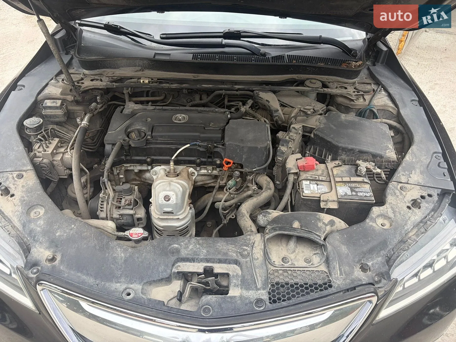 2015 Acura TLX - мініатюра 4