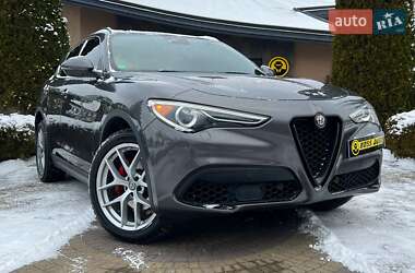 Внедорожник / Кроссовер Alfa Romeo Stelvio 2017 в Львове