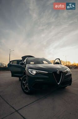 Внедорожник / Кроссовер Alfa Romeo Stelvio 2019 в Киеве