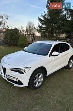 Позашляховик / Кросовер Alfa Romeo Stelvio 2019 в Києві