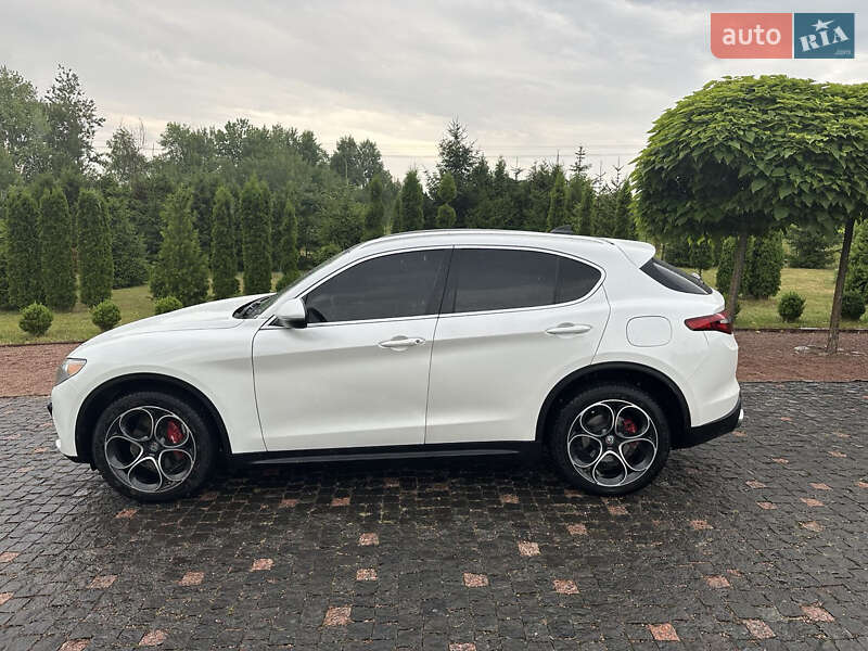 Внедорожник / Кроссовер Alfa Romeo Stelvio 2019 в Киеве фото 2 Внедорожник / Кроссовер Alfa Romeo Stelvio 2019 в Киеве