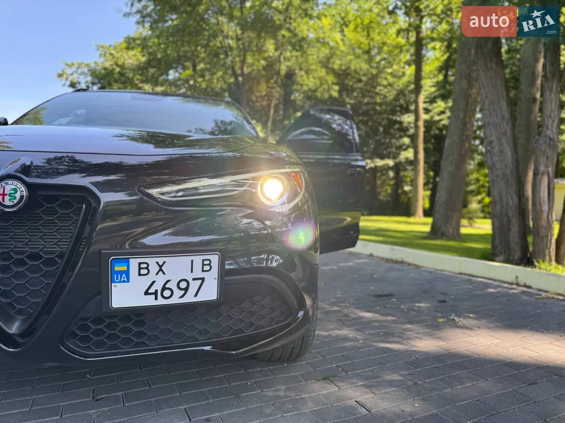 2019 Alfa Romeo Stelvio - мініатюра 22