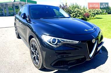 Внедорожник / Кроссовер Alfa Romeo Stelvio 2019 в Львове