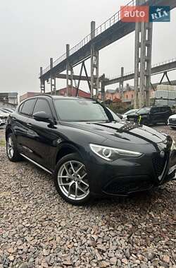 Внедорожник / Кроссовер Alfa Romeo Stelvio 2021 в Львове