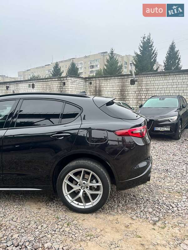Внедорожник / Кроссовер Alfa Romeo Stelvio 2021 в Львове