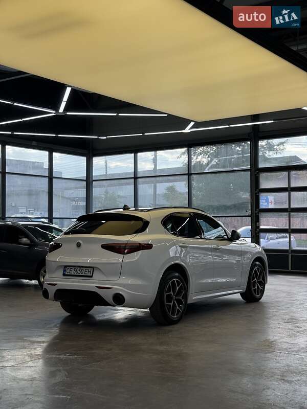 Внедорожник / Кроссовер Alfa Romeo Stelvio 2021 в Черновцах