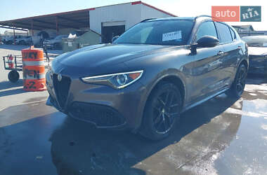 Позашляховик / Кросовер Alfa Romeo Stelvio 2020 в Дніпрі