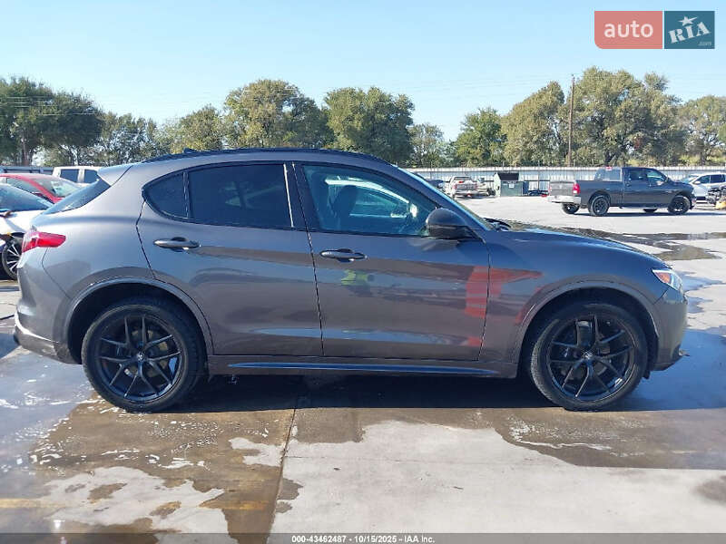 Внедорожник / Кроссовер Alfa Romeo Stelvio 2020 в Днепре фото 12 Внедорожник / Кроссовер Alfa Romeo Stelvio 2020 в Днепре