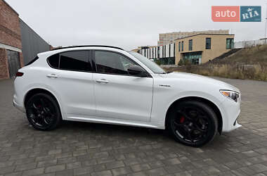 Позашляховик / Кросовер Alfa Romeo Stelvio 2022 в Хмельницькому