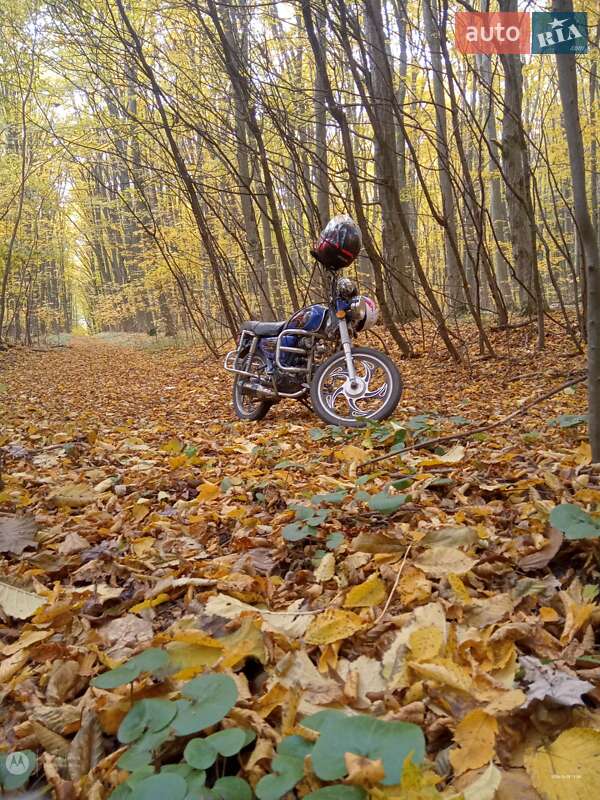 Вантажні моторолери, мотоцикли, скутери, мопеди Alfa Patriot 2008 в Сатанові фото Вантажні моторолери, мотоцикли, скутери, мопеди Alfa Patriot 2008 в Сатанові