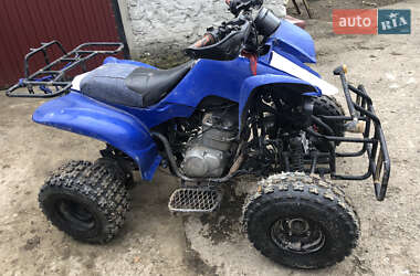 Квадроцикл утилітарний ATV 250 2006 в Чемерівцях