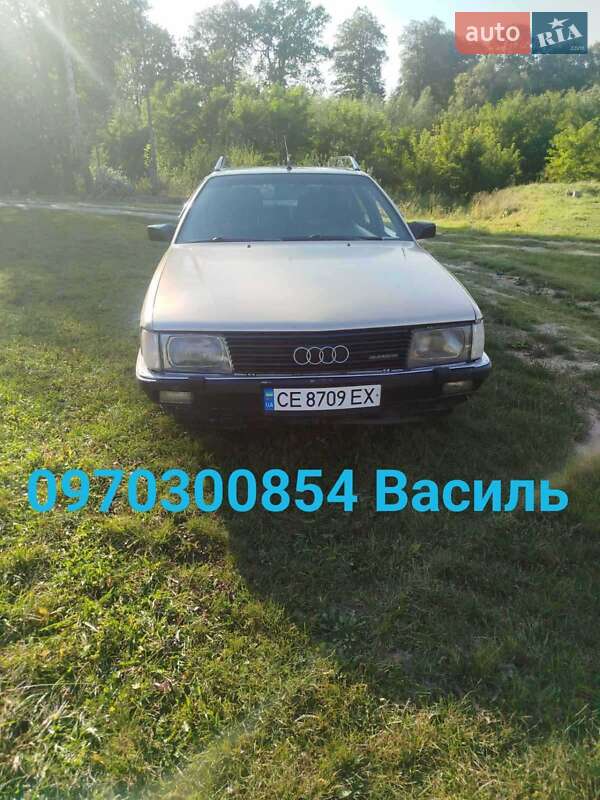 Универсал Audi 100 1989 в 