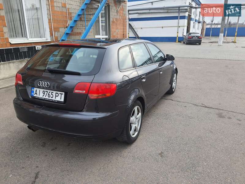 Хэтчбек Audi A3 2008 в Белой Церкви фото 6 Хэтчбек Audi A3 2008 в Белой Церкви