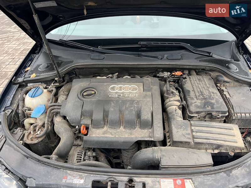 Хетчбек Audi A3 2008 в Старокостянтинові