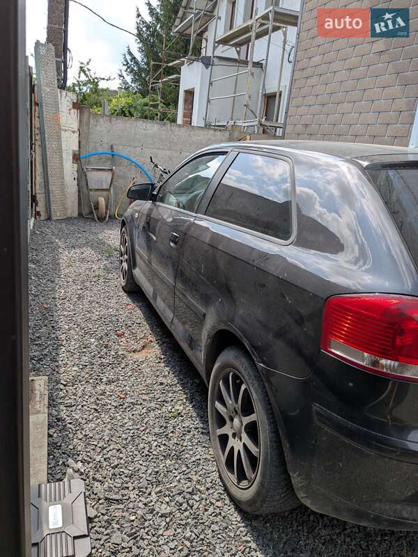 Хэтчбек Audi A3 2007 в Скнилове фото 6 Хэтчбек Audi A3 2007 в Скнилове