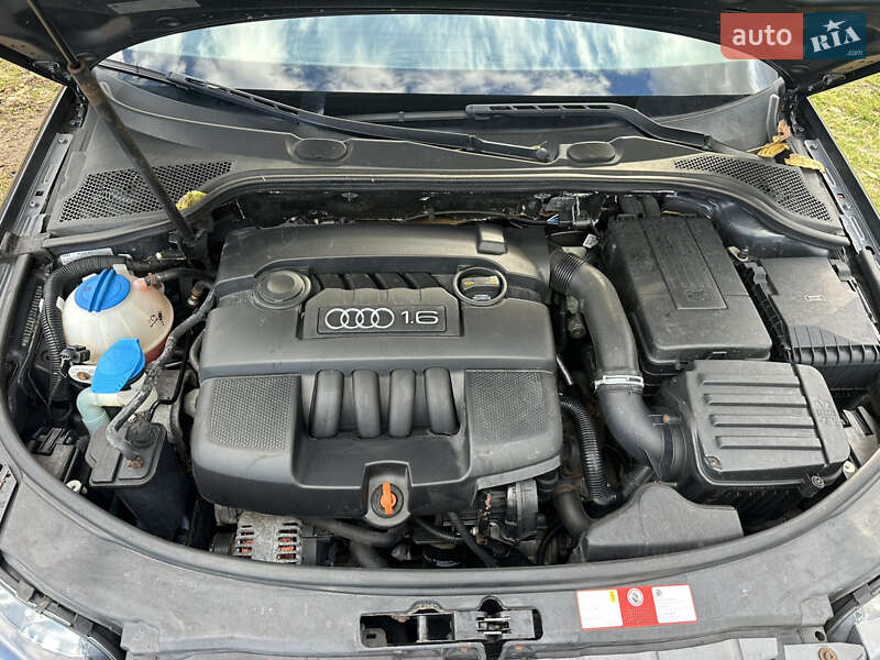 Хэтчбек Audi A3 2007 в Тернополе фото 78 Хэтчбек Audi A3 2007 в Тернополе