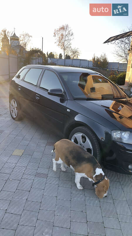 Хетчбек Audi A3 2005 в Локачах фото 9 Хетчбек Audi A3 2005 в Локачах