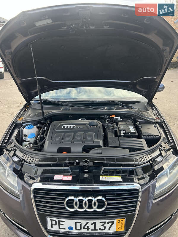 Хетчбек Audi A3 2010 в Нововолинську фото 10 Хетчбек Audi A3 2010 в Нововолинську
