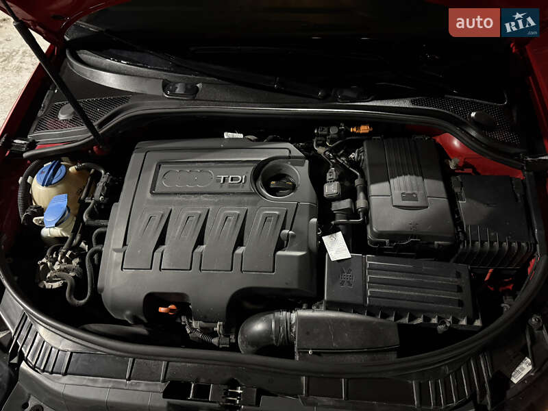 Хетчбек Audi A3 2010 в Житомирі фото 19 Хетчбек Audi A3 2010 в Житомирі