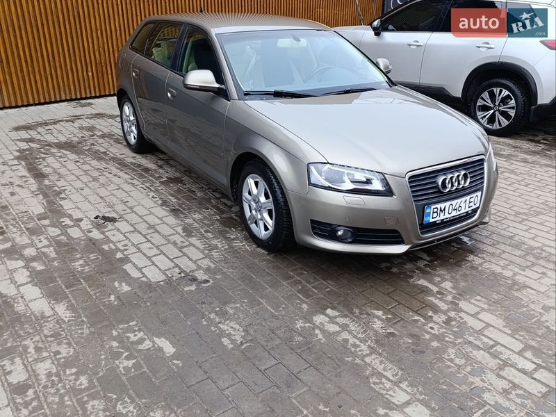 2008 Audi A3, VIN WAUZZZ8P49A080507:plate — фото 1 (autoria)