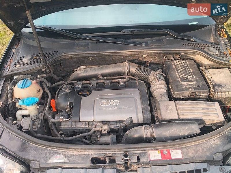 Хэтчбек Audi A3 2007 в Запорожье фото 9 Хэтчбек Audi A3 2007 в Запорожье