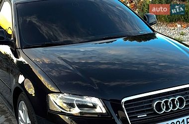 Хэтчбек Audi A3 2009 в Чернигове фото 21 Хэтчбек Audi A3 2009 в Чернигове