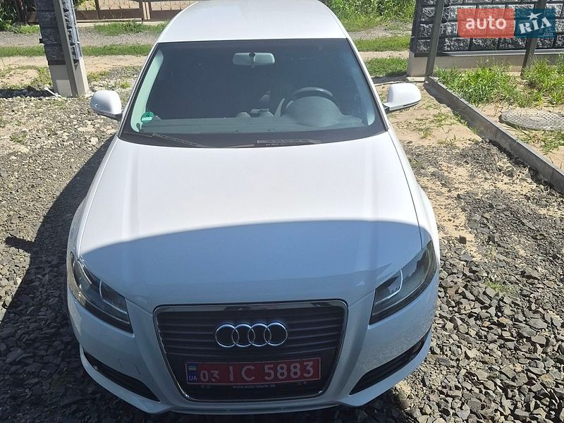 Хэтчбек Audi A3 2009 в Луцке