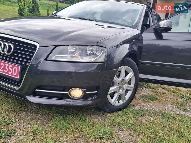 Хетчбек Audi A3 2010 в Верховині